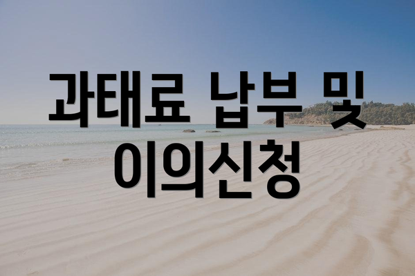 과태료 납부 및 이의신청