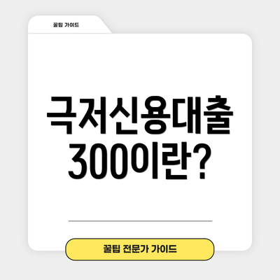극저신용대출 300이란?