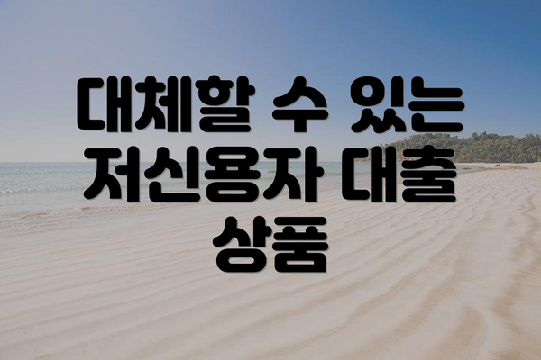 대체할 수 있는 저신용자 대출 상품