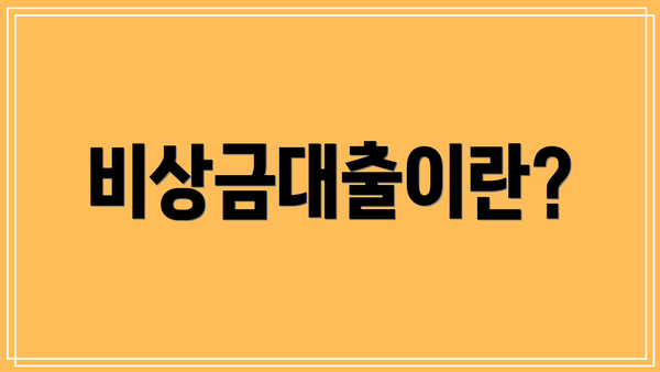 비상금대출이란?