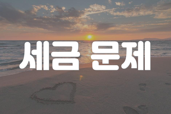 세금 문제