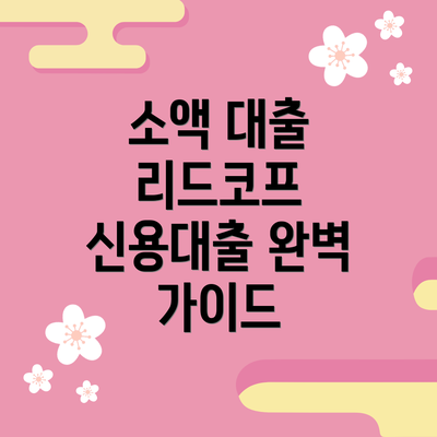 소액 대출 리드코프 신용대출 완벽 가이드