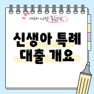 신생아 특례 대출 개요