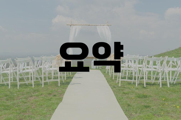 요약