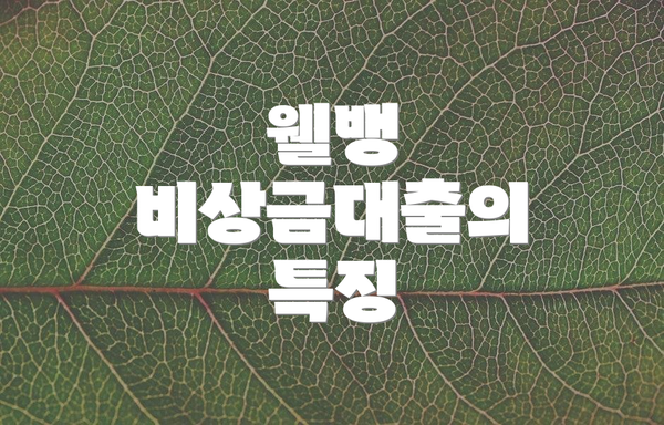웰뱅 비상금대출의 특징