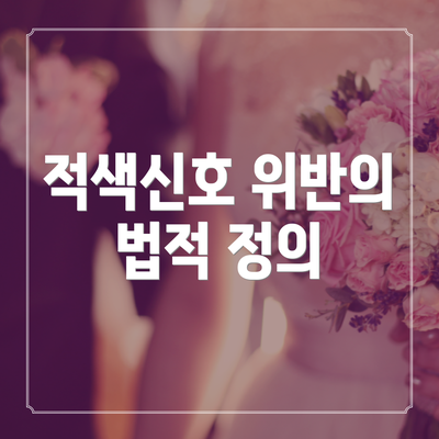 적색신호 위반의 법적 정의