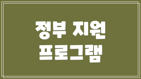 정부 지원 프로그램