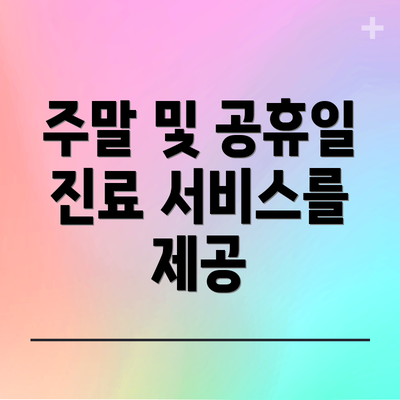 주말 및 공휴일 진료 서비스를 제공