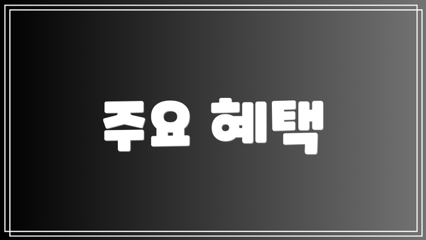 주요 혜택