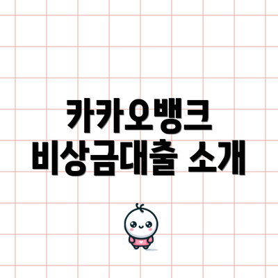 카카오뱅크 비상금대출 소개