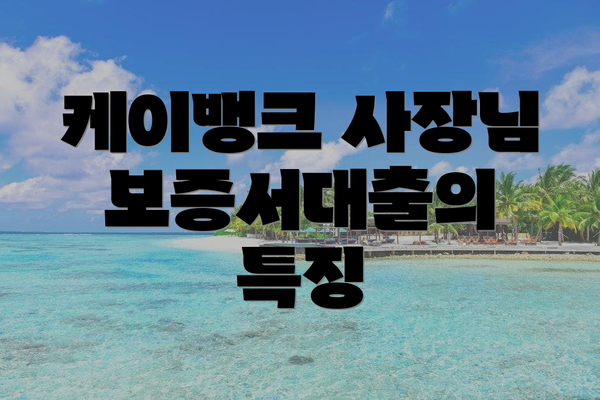 케이뱅크 사장님 보증서대출의 특징