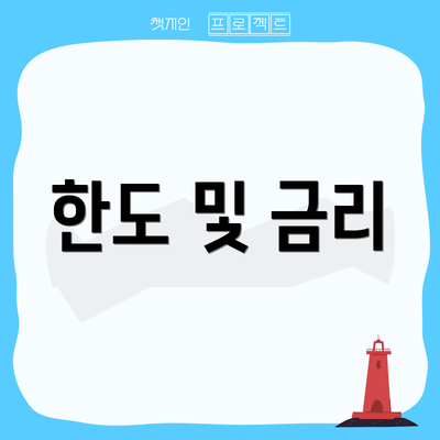 한도 및 금리