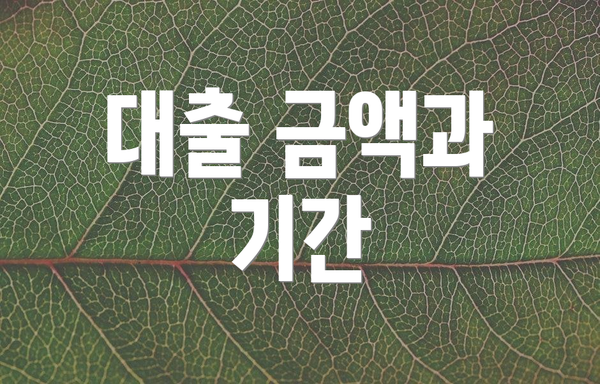 대출 금액과 기간
