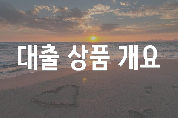 대출 상품 개요
