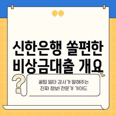 신한은행 쏠편한 비상금대출 개요