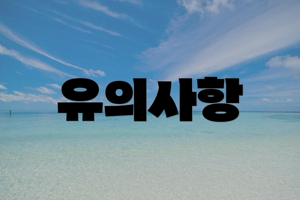 유의사항