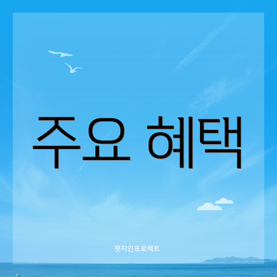 주요 혜택