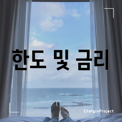 한도 및 금리
