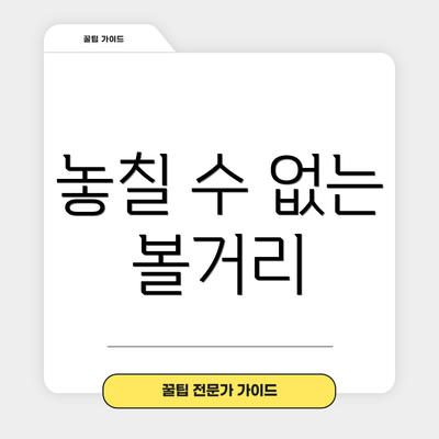 놓칠 수 없는 볼거리