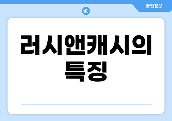 러시앤캐시의 특징