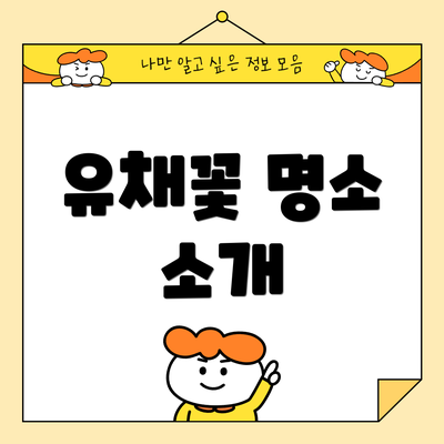 유채꽃 명소 소개