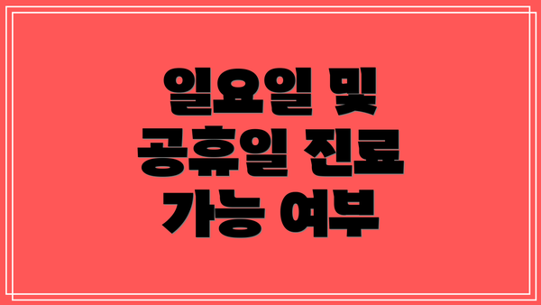 일요일 및 공휴일 진료 가능 여부