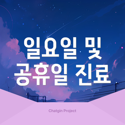 일요일 및 공휴일 진료