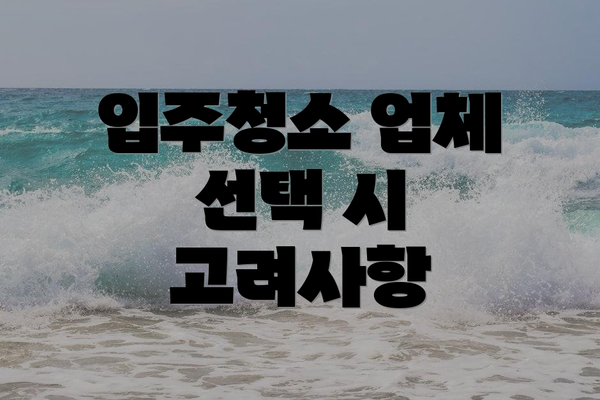 입주청소 업체 선택 시 고려사항