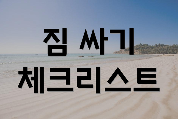 짐 싸기 체크리스트