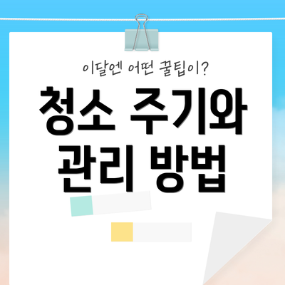 청소 주기와 관리 방법