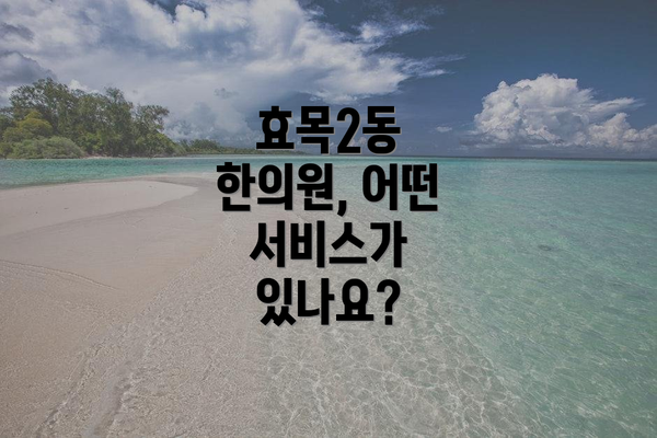 효목2동 한의원, 어떤 서비스가 있나요?