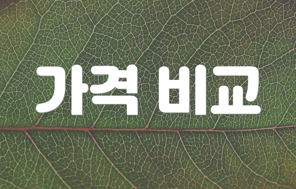 가격 비교