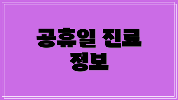 공휴일 진료 정보
