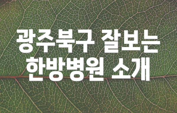 광주북구 잘보는 한방병원 소개