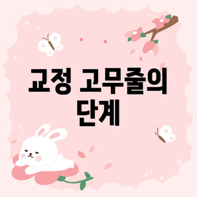 교정 고무줄의 단계