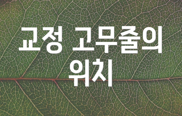 교정 고무줄의 위치