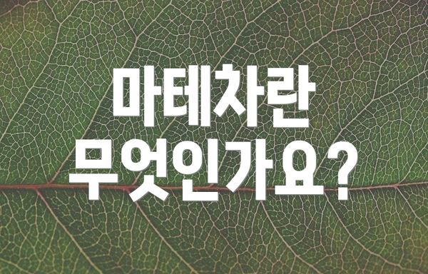 마테차란 무엇인가요?