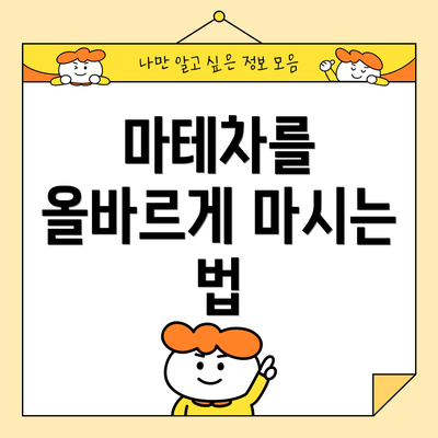 마테차를 올바르게 마시는 법