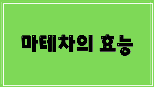 마테차의 효능