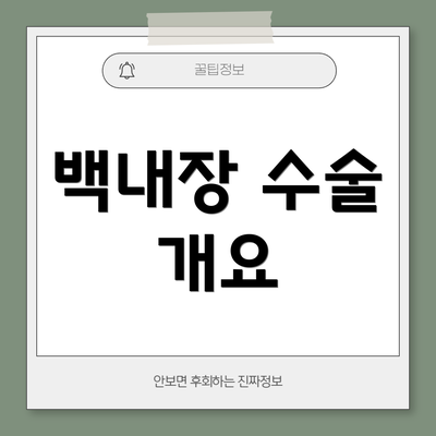 백내장 수술 개요