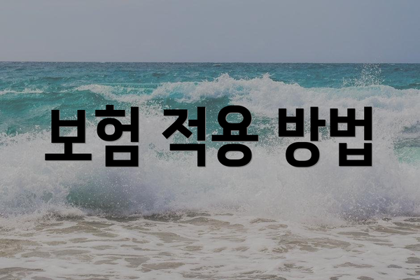 보험 적용 방법