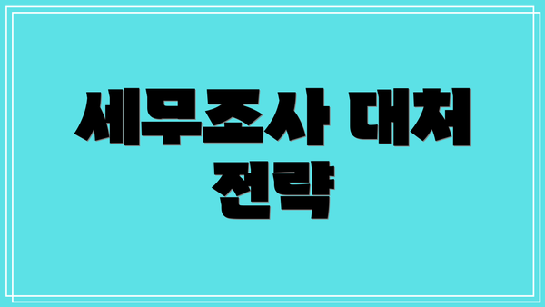 세무조사 대처 전략