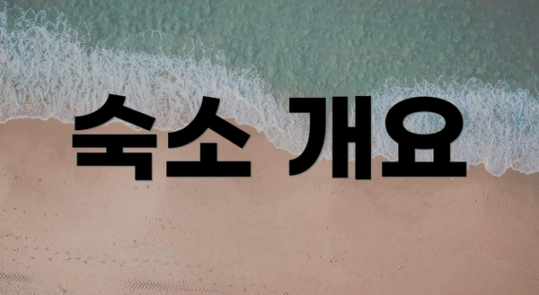 숙소 개요
