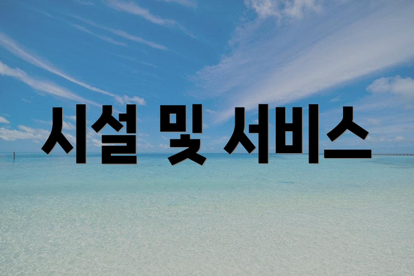 시설 및 서비스