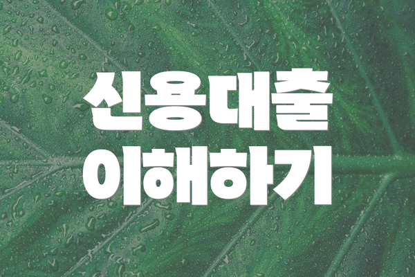 신용대출 이해하기