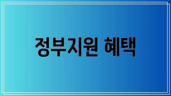 정부지원 혜택