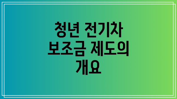 청년 전기차 보조금 제도의 개요