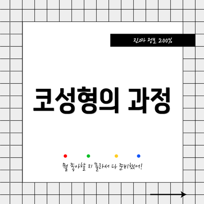 코성형의 과정