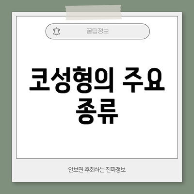 코성형의 주요 종류