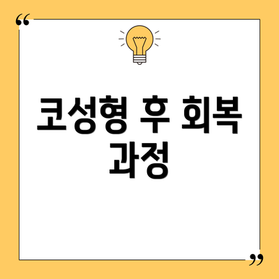 코성형 후 회복 과정
